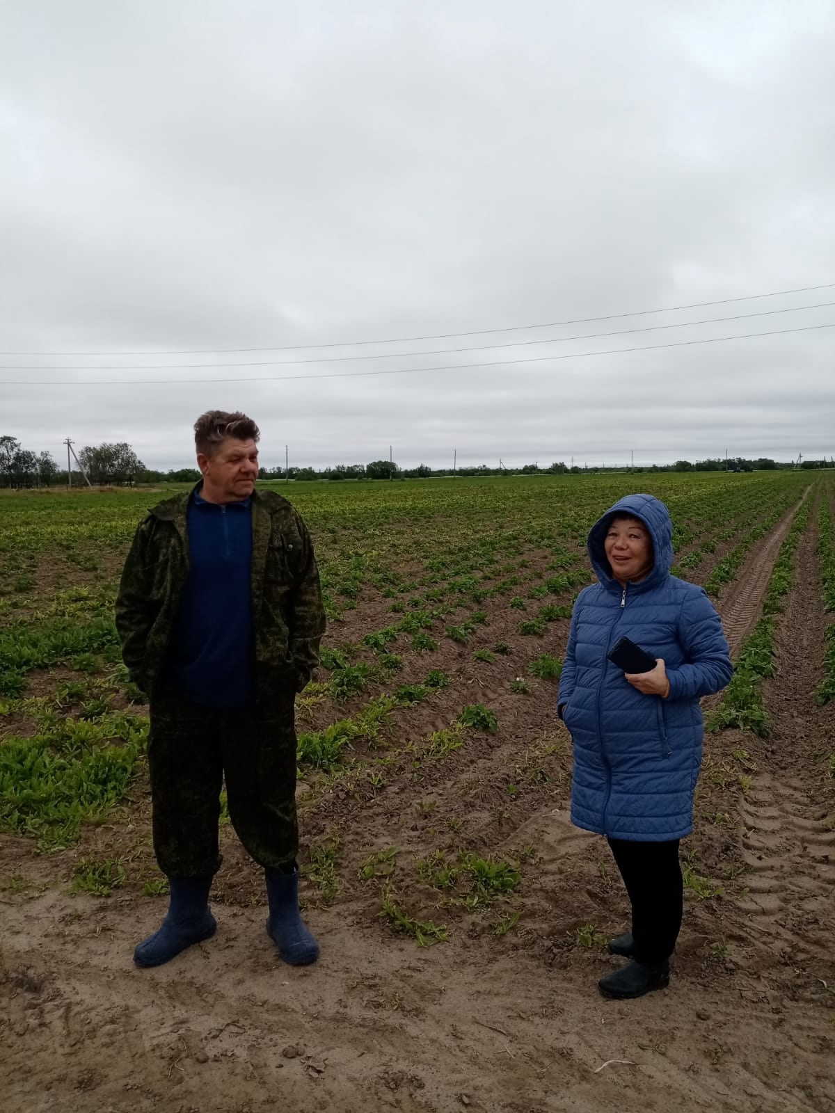 Агродесант на фермерском хозяйстве ООО 